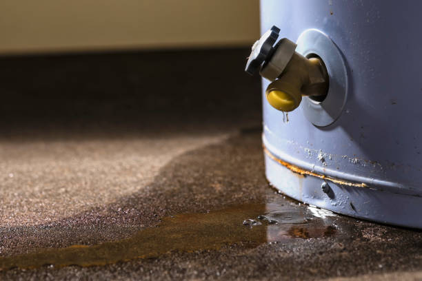 Best Local water damage restoration  in Emporium, PA