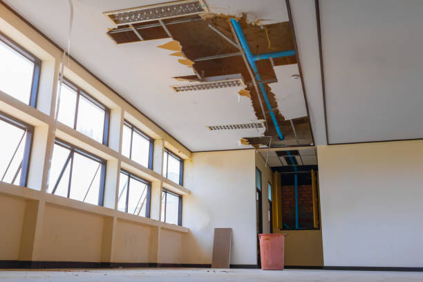 Best Water damage contractors near me  in Emporium, PA