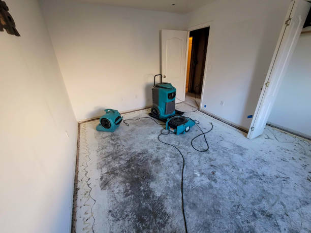 Best Water damage contractors near me  in Emporium, PA