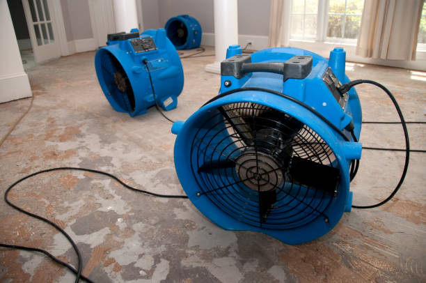 Best Ceiling water damage repair  in Emporium, PA