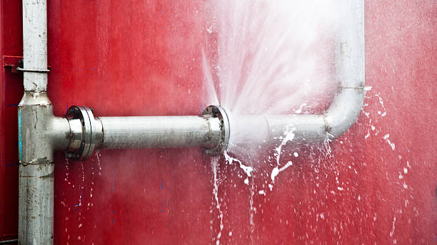 Best Mold removal after water damage  in Emporium, PA